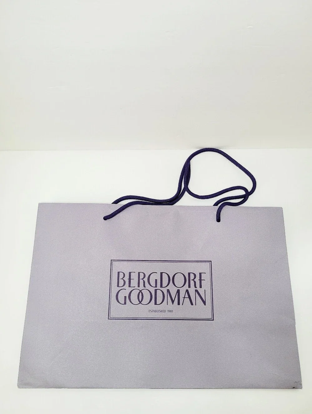 Authentic New Bergdorf Goodman Shopping Gift Bag rope handle 9 x 7.75 x 4.5
